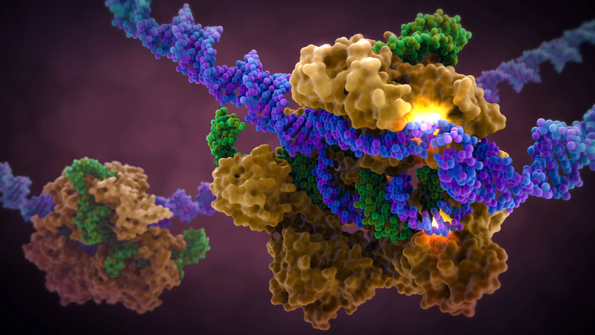 Unlocking the Potential of CRISPR: Cas13d-NCS