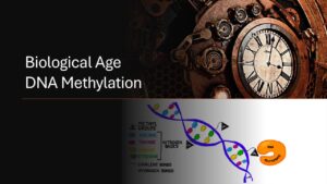 Scopri di più sull'articolo Decodificare l’invecchiamento: svolta degli orologi epigenetici specifici per tipo cellulare