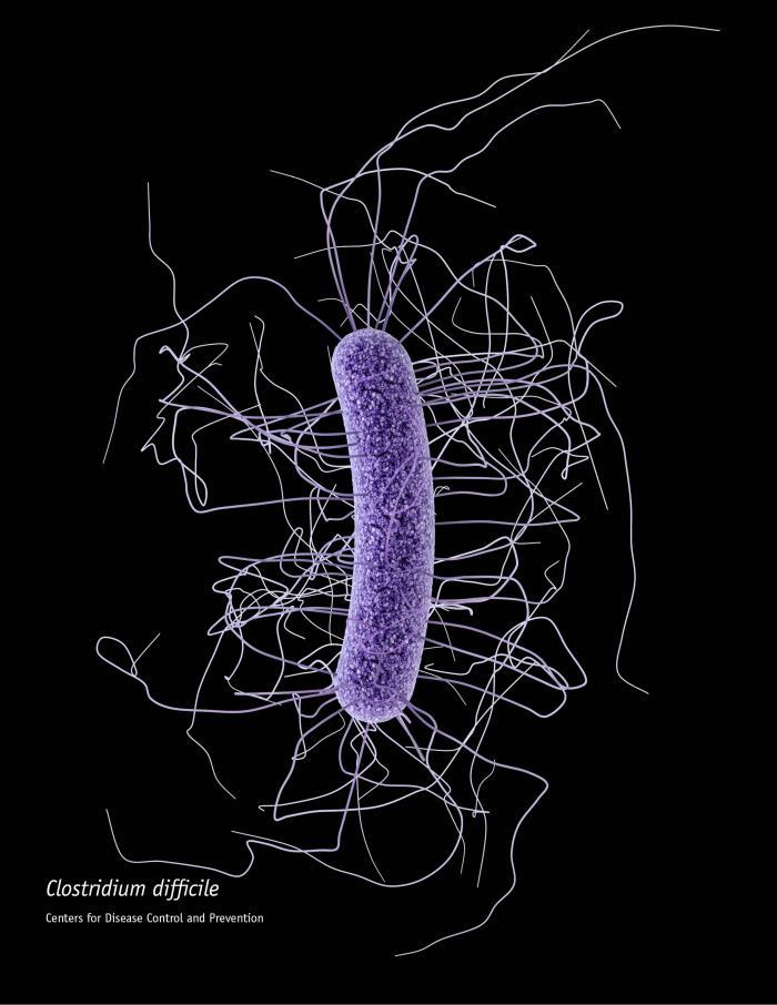 Al momento stai visualizzando La Lotta Contro la Resistenza agli Antibiotici: Sfruttare la Dipendenza dallo Zinco dei Batteri